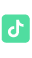 TikTok icon
